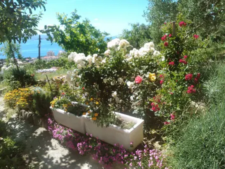 Mira, Appartement 4 personnes à Makarska - Photo 9