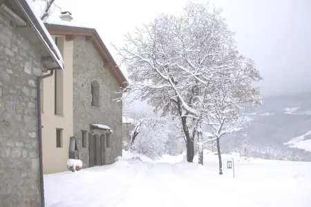 Borgo Belvedere Mono, Ferme à Imola avec piscine et cascades - Photo 13