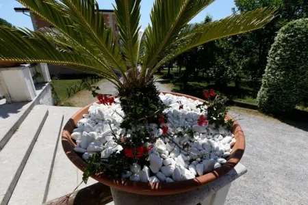 Mandarino, Maison à San Cipriano avec piscine - Photo 39