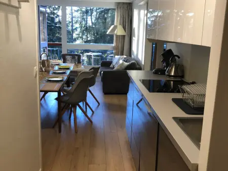 Appartement rénové 7/8 pers, au calme avec balcon, parking et wifi inclus, au centre de la station - Photo 3