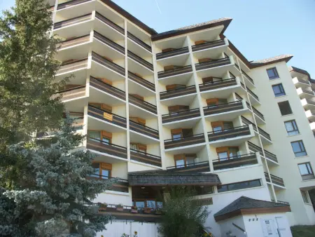 Confort 2P 45m², 4-6 pers, animaux, proche pistes - Photo 12