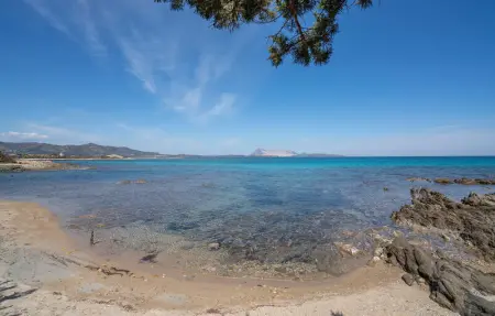 Location Appartement 7 personnes à Posada - Photo 6