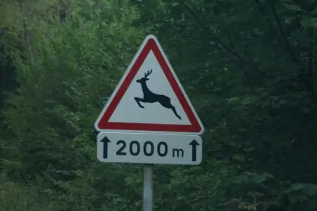 Maison de vacances - SEIGNEULLES, Maison de vacances calme à Seigneulles en France avec jardin - Photo 37