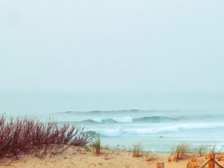 Appartement T2 Rénové à 2 min de la Plage, Centre Seignosse, Tout à Pied, Draps et Ménage Inclus - Photo 13