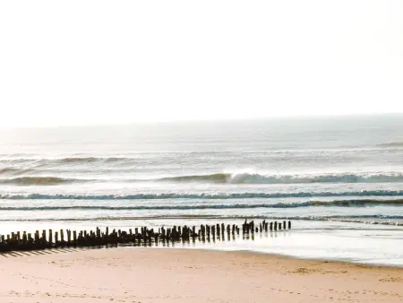 Appartement T2 Rénové à 2 min de la Plage, Centre Seignosse, Tout à Pied, Draps et Ménage Inclus - Photo 14