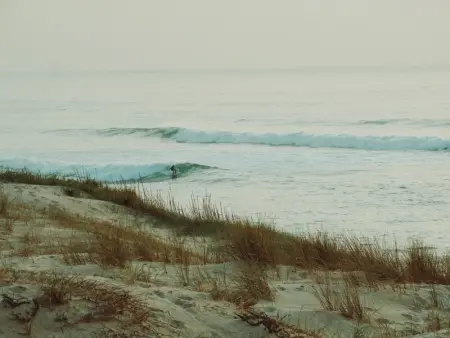Appartement T2 Rénové à 2 min de la Plage, Centre Seignosse, Tout à Pied, Draps et Ménage Inclus - Photo 15