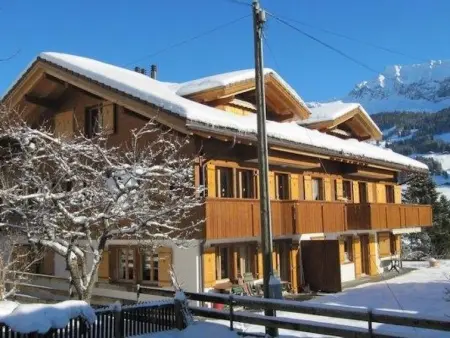 Alpine Retreat, Appartement 4 personnes à Adelboden - Photo 1