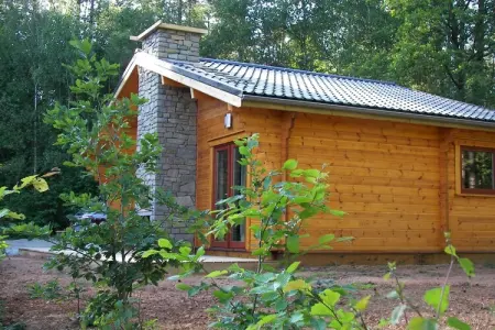 Abri Vert, Chalet moderne en bois avec cuisinière, situé en forêt - Photo 5
