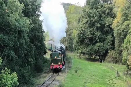 Abri Vert, Chalet moderne en bois avec cuisinière, situé en forêt - Photo 15