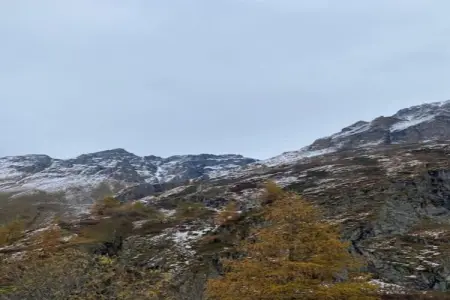 Abri Vert, Chalet moderne en bois avec cuisinière, situé en forêt - Photo 17