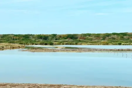 Abri Vert, Chalet moderne en bois avec cuisinière, situé en forêt - Photo 21