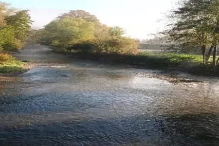 Abri Vert, Chalet moderne en bois avec cuisinière, situé en forêt - Photo 30
