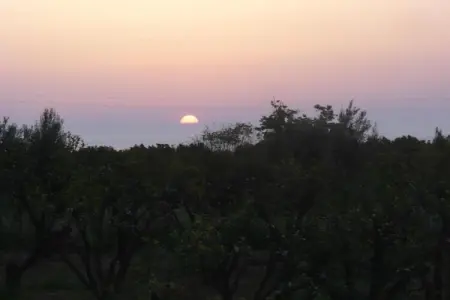 Appartamento Le Palme, Appartement 5 personnes à Santa Venerina - Photo 31