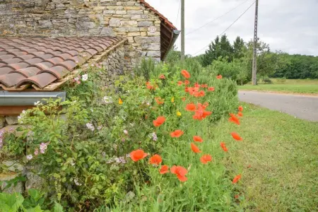 Maison Carème, Spacieuse demeure à Salviac avec piscine - Photo 19