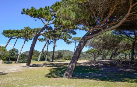 Location Maison 4 personnes à Coti Chiavari - Photo 16