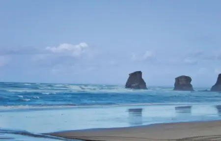 Location Maison 6 personnes à Hendaye - Photo 35