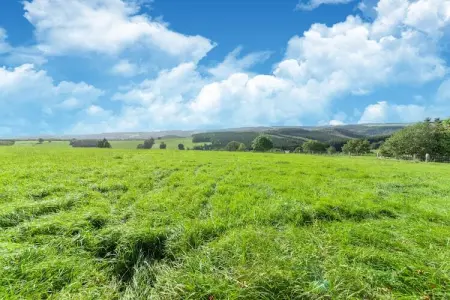 Le sommet de Mont, Maison 32 personnes à Houffalize - Photo 35