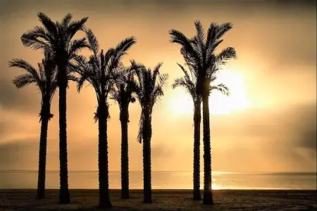 Residencial Mediterraneo, Appartement 3 personnes à Roquetas de Mar - Photo 32