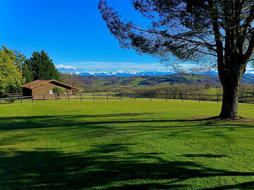 Location Casa rural en Bardos,Charmant gîte indépendant avec animaux, terrasse et équipements modernes à Bardos FR-1-384-749 N°853588