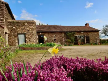 Casa rural en La Tardière,Gîte écoresponsable avec 4 chambres, terrasse et activités, proche LPO, chauffage au sol FR-1-426-486 N°853593