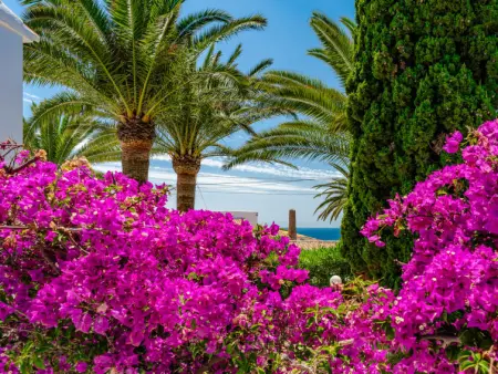 Amazing Views, Maison 8 personnes à Javea - Photo 70