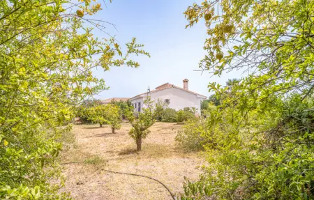 Location Maison 2 personnes à Alhaurin de la Torre - Photo 11