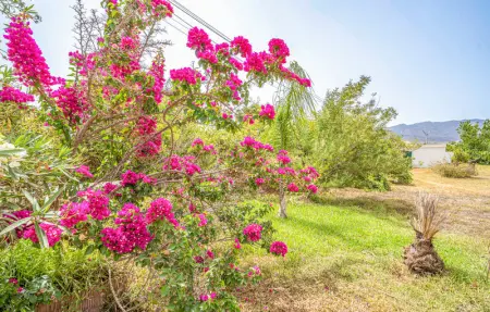 Location Maison 2 personnes à Alhaurin de la Torre - Photo 12