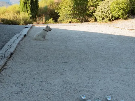 Le Serre des Granges Maxx, Maison 14 personnes à Montaulieu - Photo 29