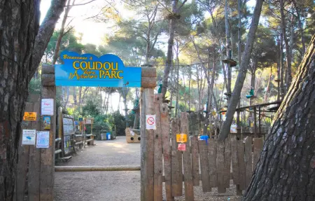 Location Appartement 6 personnes à Six Fours les Plages - Photo 13