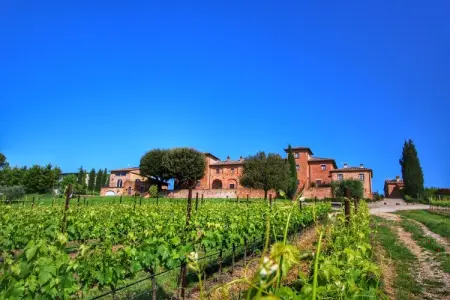 Mimosa, Ferme avec piscine א Montepulciano - Photo 8