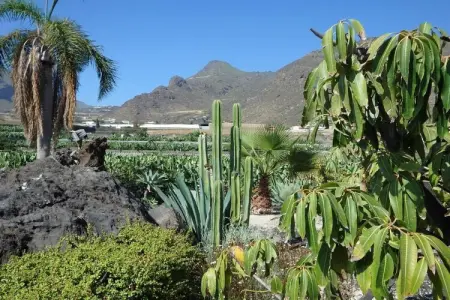 Casa Carla, Maison 6 personnes à Santiago del Teide - Photo 30