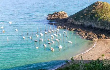 Location Maison 5 personnes à Plouézec - Photo 6