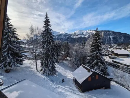 Studio 4 pers avec balcon, près des remontées mécaniques - Photo 5