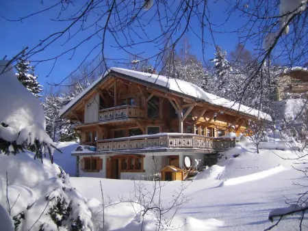 Chalet cosy 12 pers. à 1km des pistes, 5 ch., WiFi, cheminée, abri voiture - Photo 15
