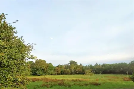 LA MAISON BLEUE/ TAILLEPIED, Maison 8 personnes à ISIGNY SUR MER - Photo 23