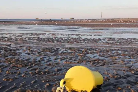 LA MAISON BLEUE/ TAILLEPIED, Maison 8 personnes à ISIGNY SUR MER - Photo 30