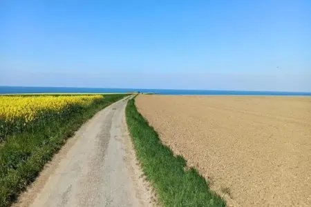 LA MAISON BLEUE/ TAILLEPIED, Maison 8 personnes à ISIGNY SUR MER - Photo 31