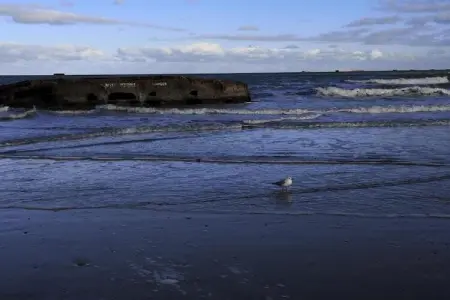 LA MAISON BLEUE/ TAILLEPIED, Maison 8 personnes à ISIGNY SUR MER - Photo 35