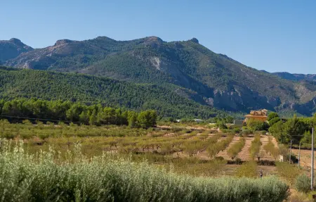 Location Maison 8 personnes à Pliego - Photo 30