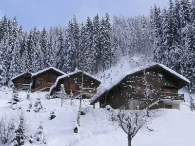 Appartement à Arêches Beaufort, Studio calme avec terrasse aux portes de la forêt - L899529