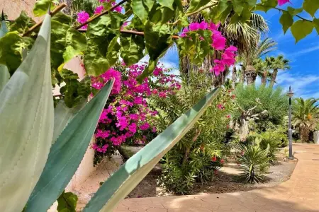 Los Kiwis 1ª línea de playa, Maison 6 personnes à Roquetas de Mar - Photo 26