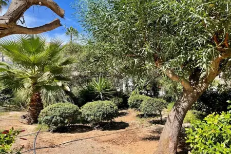 Los Kiwis 1ª línea de playa, Maison 6 personnes à Roquetas de Mar - Photo 27