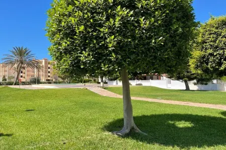 Aguamarina, Maison 6 personnes à Roquetas de Mar - Photo 32