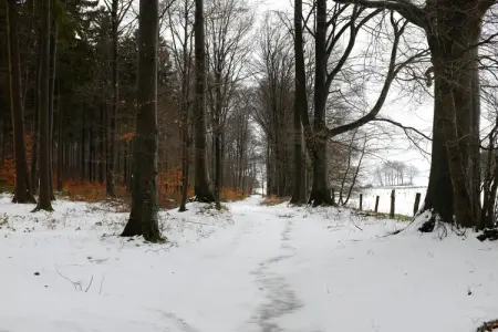 Gîte Paliseul, Maison 9 personnes à Paliseul - Photo 2