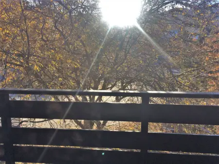 Appartement 3 pièces 6 couchages à Risoul, calme et proche des pistes - Photo 14