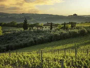 Casa rural en San Gimignano,Podere San Michele IT5257.653.1 N°244947