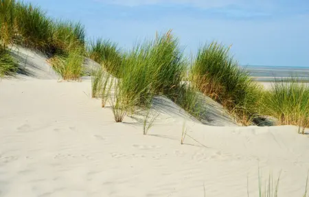 Location Maison 9 personnes à Longvilliers - Photo 8