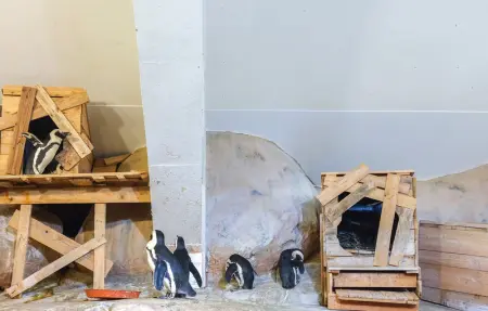 Location Maison 9 personnes à Longvilliers - Photo 23