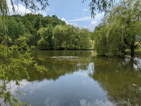 Maison spacieuse en pleine nature avec piscine, équipements de loisirs et randonnées à proximité - Photo 5