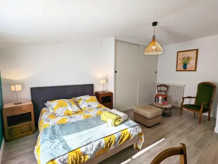 Maison de charme 19ème rénovée proche Angoulême, idéale famille, équipement complet, animaux acceptés - Photo 26